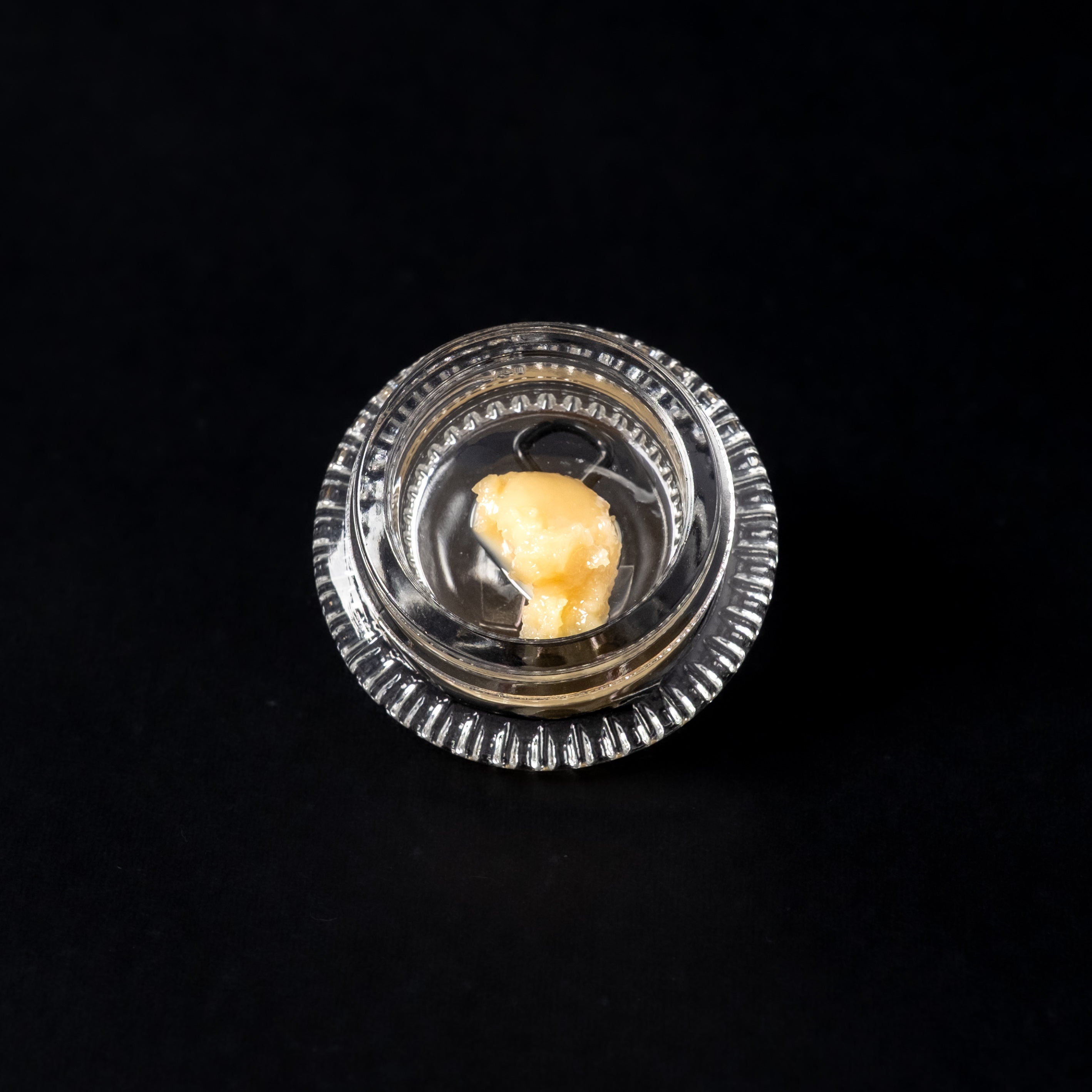 Lemon Bean — Ahti Farms