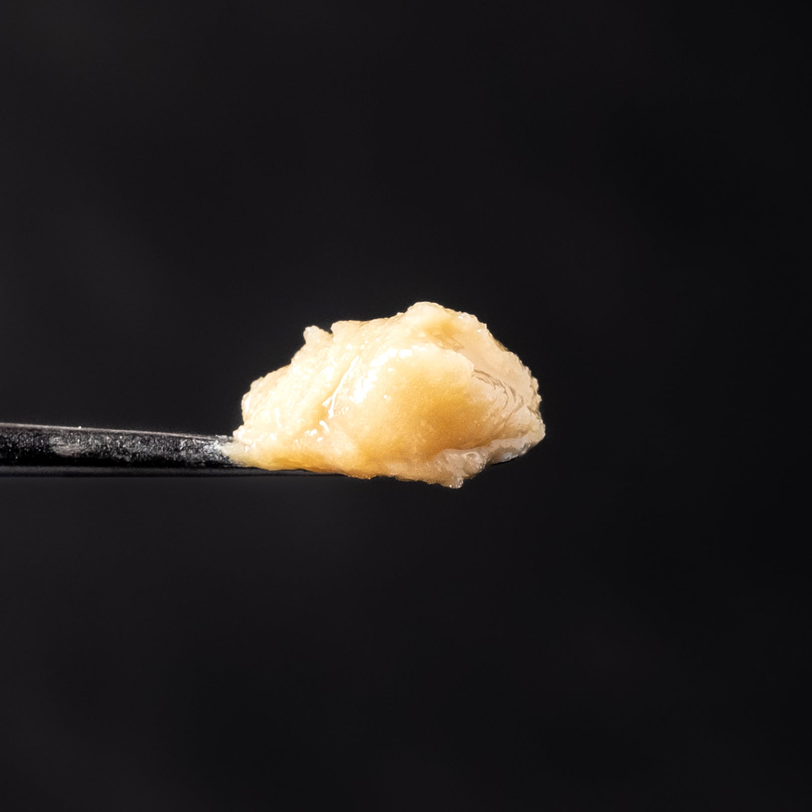 Lemon Bean — Ahti Farms