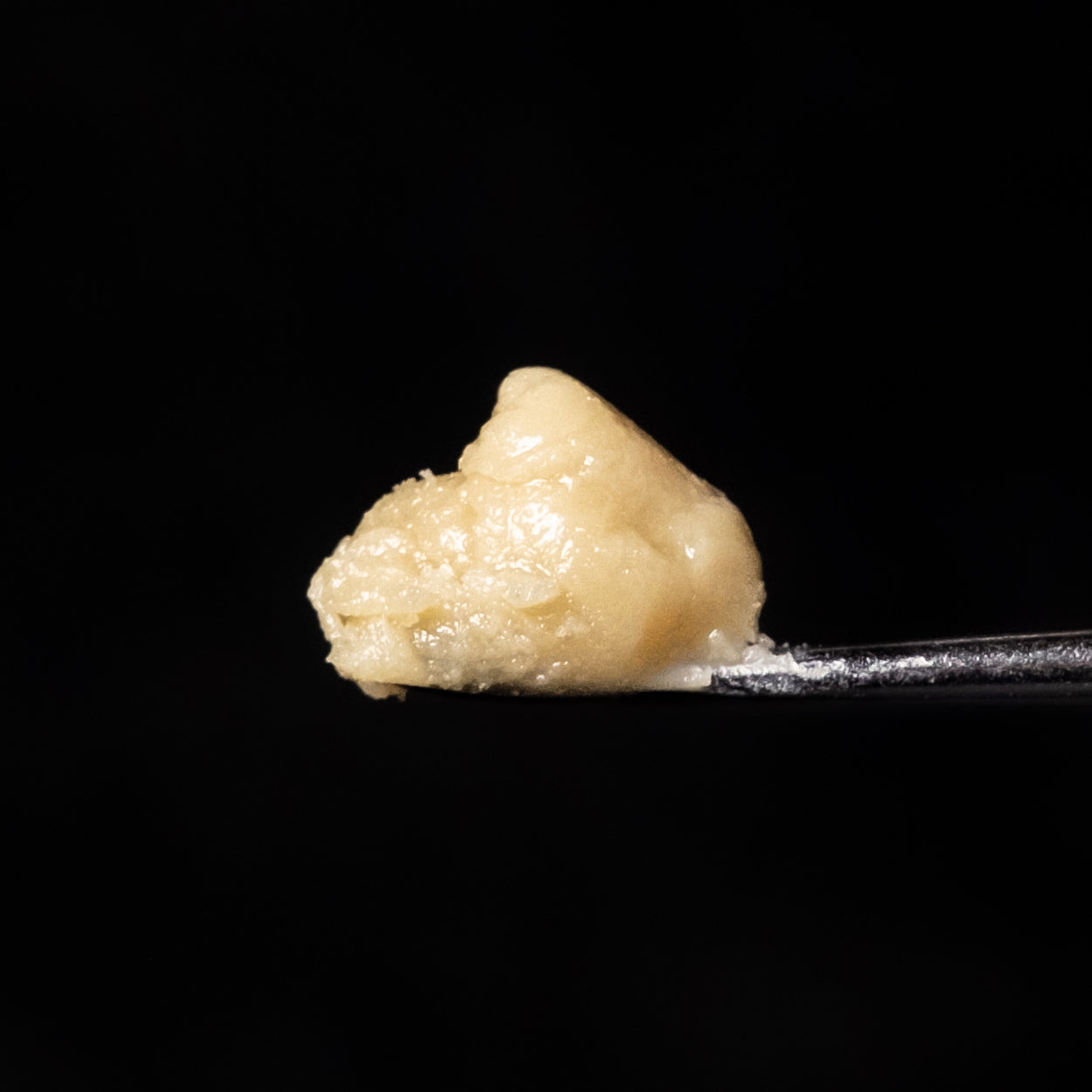 Sour Papaya — Ahti Farms